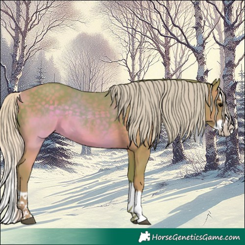 Horse Color:Watercolor Silver Black Splash 