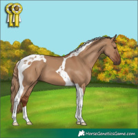 Horse Color:Red Dun Tobiano