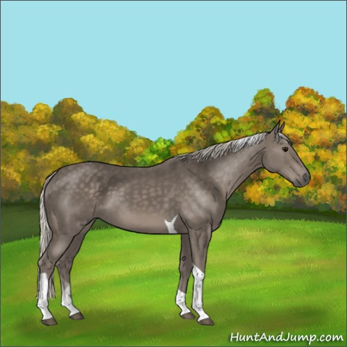 Horse Color:Silver Smoky Black Tobiano