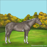 Horse Color:Silver Smoky Black Tobiano