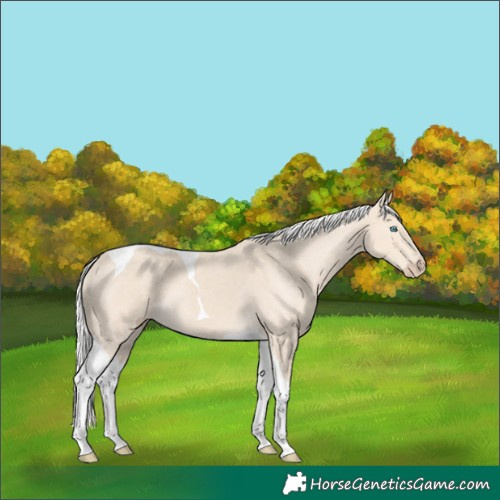 Horse Color:Silver Smoky Creme Tobiano 