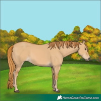 Horse Color:Red Dun