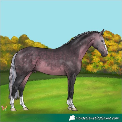 Horse Color:Painted Silver Brown Chinchilla 