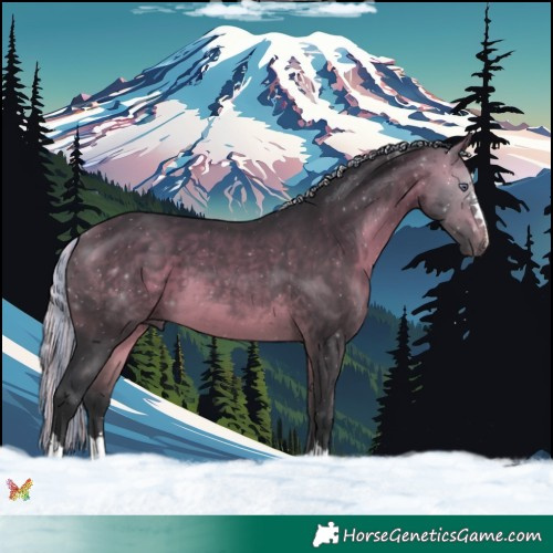 Horse Color:Painted Silver Brown Chinchilla 