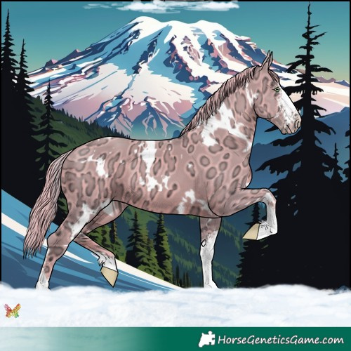 Horse Color:Watercolor White Spotted Gold Champagne Ice Sabino