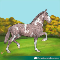 Horse Color:Watercolor White Spotted Gold Champagne Ice Sabino 