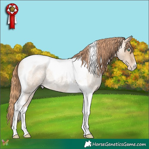Horse Color:Smoky Blue Roan Pearl Tobiano Appaloosa 