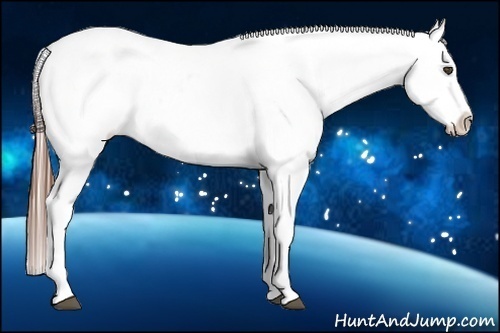 Horse Color:Red Roan Near Leopard 