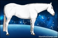 Horse Color:Red Roan Near Leopard 