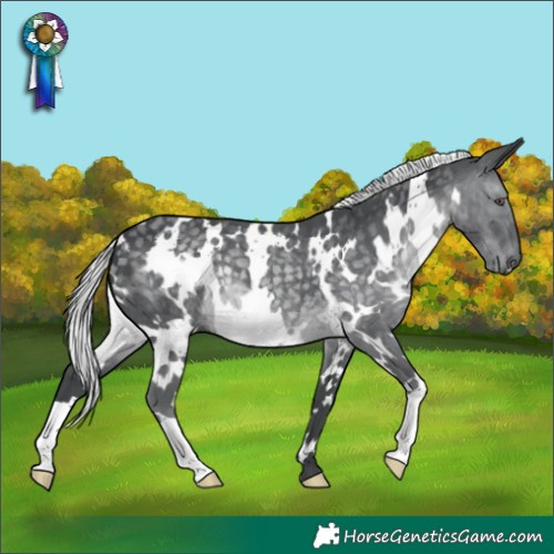 Horse Color:White Spotted Silver Black Chinchilla 