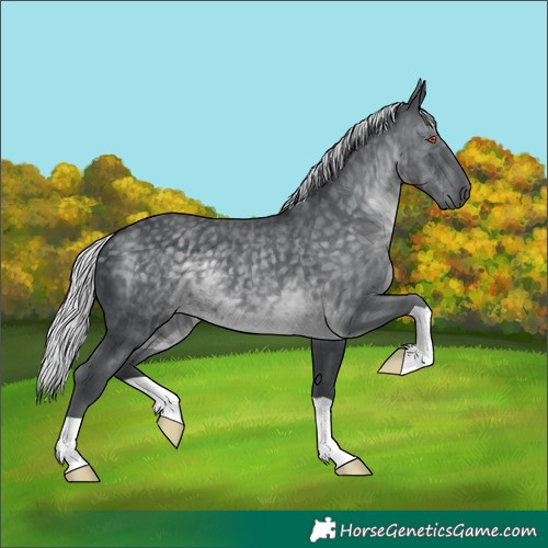 Horse Color:Silver Black Chinchilla 