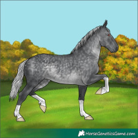 Horse Color:Silver Black Chinchilla