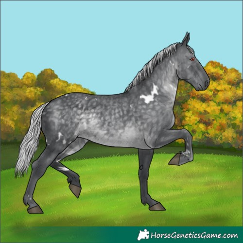 Horse Color:White Spotted Silver Black Chinchilla 