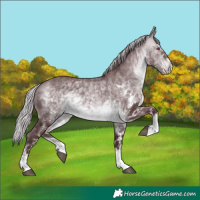 Horse Color:White Spotted Chocolate Silver Brown Chinchilla 