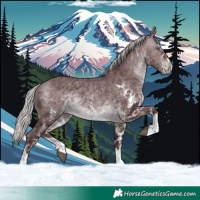 Horse Color:White Spotted Chocolate Silver Brown Chinchilla 