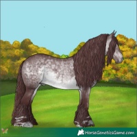 Horse Color:Chocolate Brown Chinchilla 