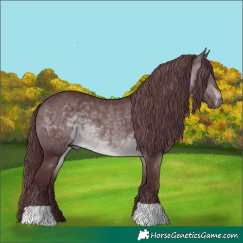 Horse Color:Chocolate Brown Chinchilla 