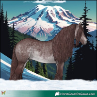 Horse Color:Chocolate Brown Chinchilla 