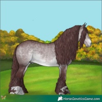 Horse Color:Chocolate Brown Chinchilla