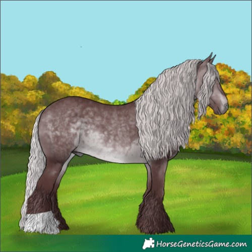 Horse Color:Chocolate Silver Brown Chinchilla 