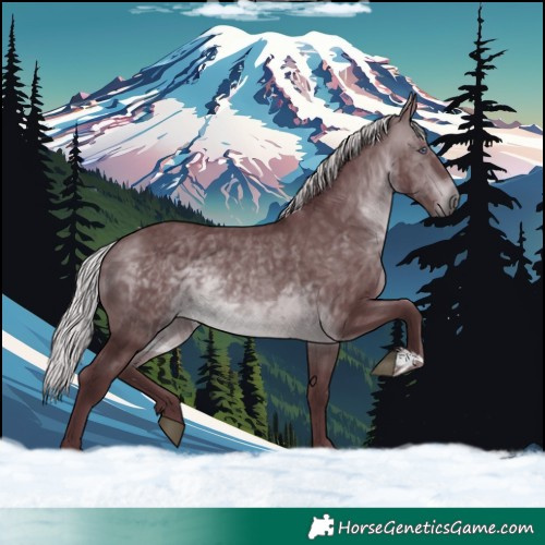 Horse Color:Chocolate Silver Brown Chinchilla 