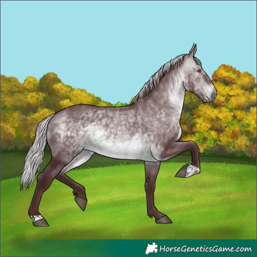 Horse Color:Chocolate Silver Brown Chinchilla 