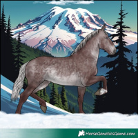 Horse Color:Chocolate Silver Brown Chinchilla 