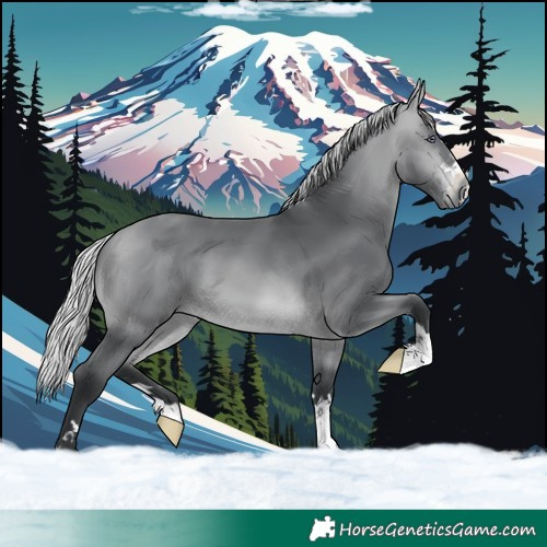 Horse Color:Silver Bay Chinchilla 