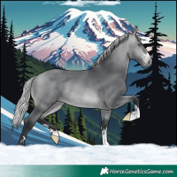 Horse Color:Silver Bay Chinchilla