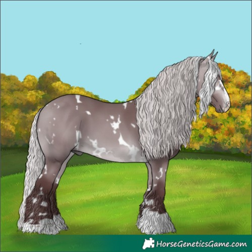 Horse Color:White Spotted Chocolate Silver Bay Chinchilla 