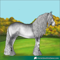 Horse Color:White Spotted Silver Brown Chinchilla Onyx 