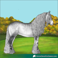 Horse Color:White Spotted Silver Brown Chinchilla Onyx 