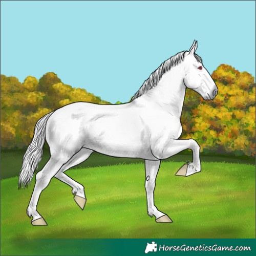 Horse Color:White Spotted Red Onyx Chinchilla