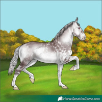 Horse Color:White Spotted Chocolate Silver Brown Chinchilla Onyx 