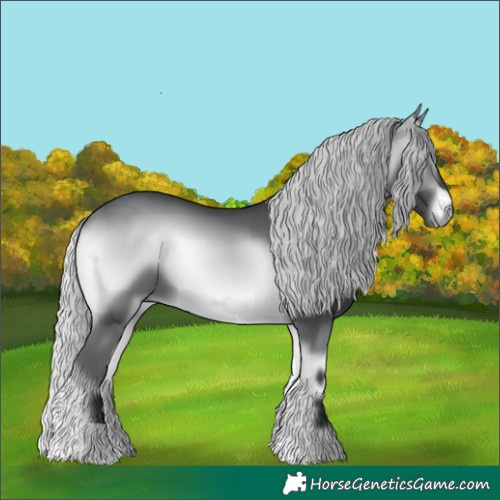 Horse Color:Silver Brown Chinchilla Onyx 
