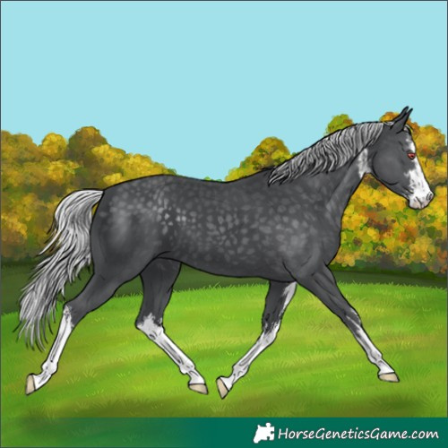 Horse Color:White Spotted Silver Black Chinchilla 