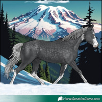 Horse Color:White Spotted Silver Black Chinchilla 