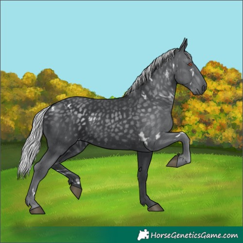 Horse Color:White Spotted Silver Black Chinchilla 