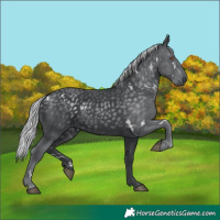 Horse Color:White Spotted Silver Black Chinchilla 