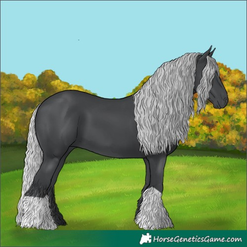 Horse Color:Silver Black Chinchilla 
