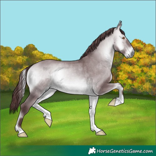 Horse Color:Chocolate Bay Chinchilla Onyx