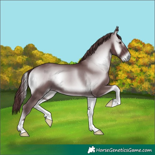 Horse Color:Chocolate Blue Onyx Chinchilla 