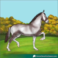 Horse Color:Chocolate Blue Onyx Chinchilla 