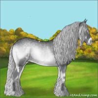 Horse Color:White Spotted Silver Blue Onyx Chinchilla 