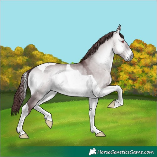 Horse Color:Chocolate Brown Chinchilla Onyx Tobiano