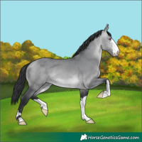 Horse Color:Brown Chinchilla Dun 