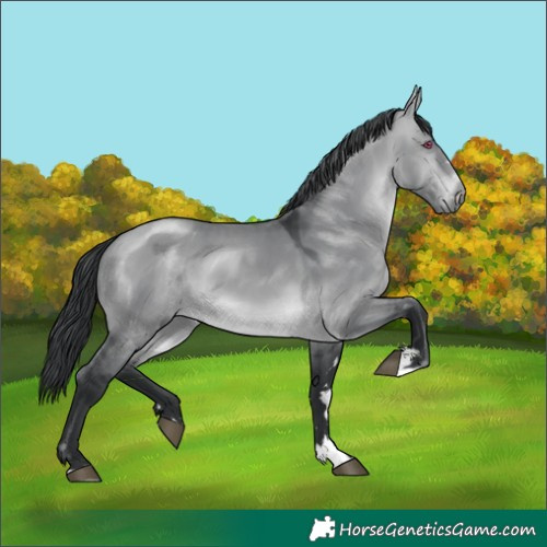Horse Color:Brown Chinchilla Dun 