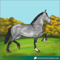 Horse Color:Brown Chinchilla Dun 