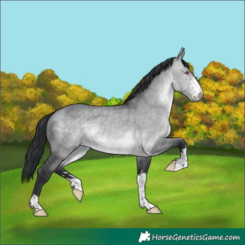 Horse Color:Brown Chinchilla Dun 