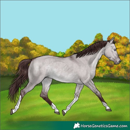 Horse Color:Chocolate Brown Chinchilla Dun Tobiano 